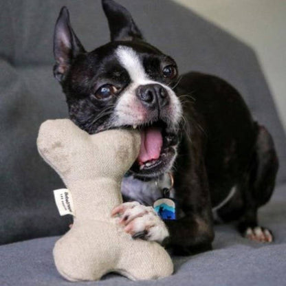 Dog holding a soft hemp and organic cotton dog bone toy in its mouth
