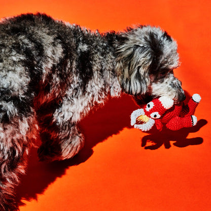 Dog holding an organic cotton bull dog toy made from non-toxic cotton with a squeaker