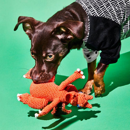 Dog engaging in supervised play with an organic cotton dragon plush toy crafted with all natural dyes.