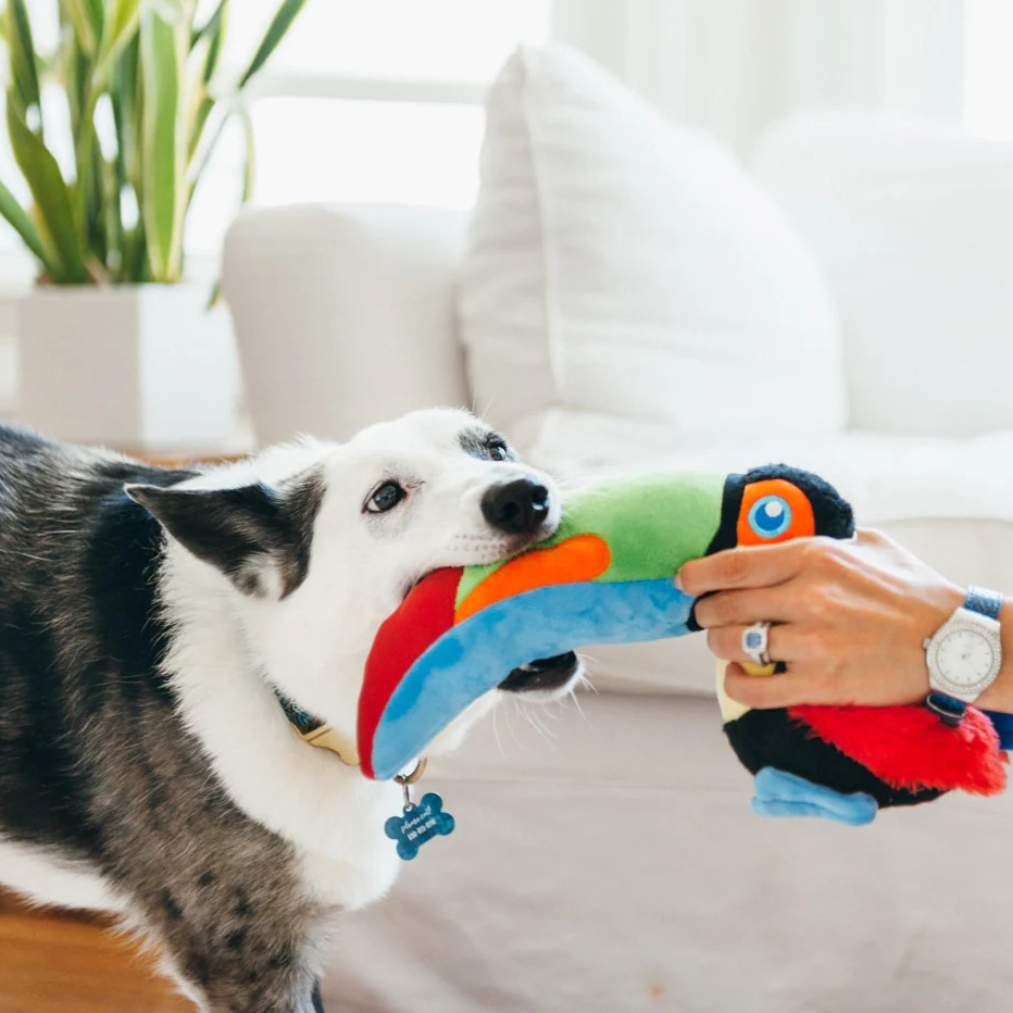 Dog enjoying a durable, non-toxic toucan dog toy made with eco-friendly materials