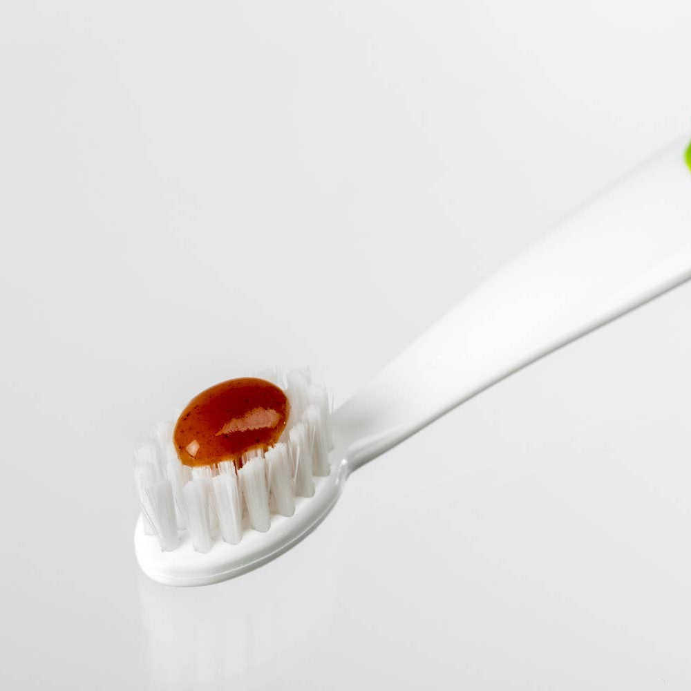 Dog toothbrush with organic toothpaste applied to soft bristles for canine dental care