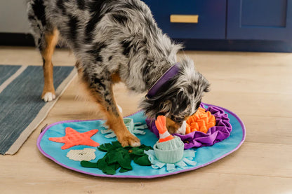 Dog engaged with an interactive snuffle mat to encourage natural sniffing and mental stimulation.