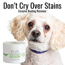 Dog with tear stains alongside tear stain removing dog eye wipes designed for gentle, everyday eye cleaning