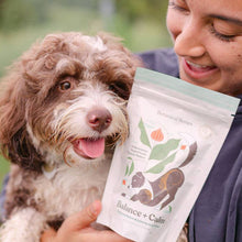 Dog enjoying Botanical Bones Balance + Calm calming peanut butter dog treats during treat time