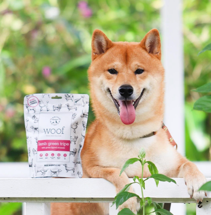 Dog sitting next to WOOF air-dried lamb green tripe and mussel dog treats packaging