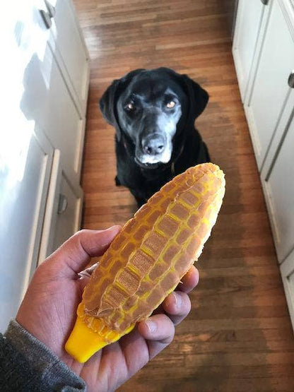 Dog receiving the yellow SodaPup Corn on the Cob nylon chew toy during play
