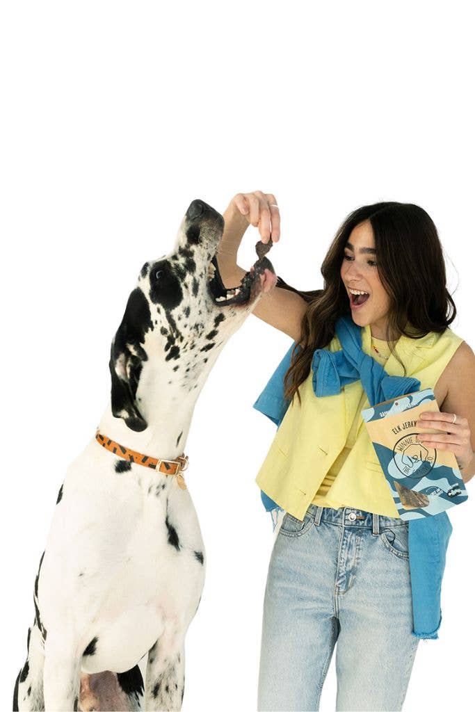 Dog being rewarded with a grass-fed elk jerky dog treat