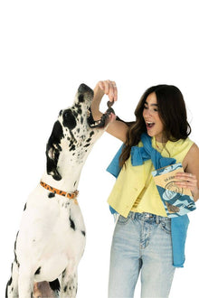 Dog being rewarded with a grass-fed elk jerky dog treat