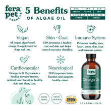 Vegan Omega-3s Algae Oil for Dogs