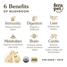 Organic Mushrooms Dog Supplement