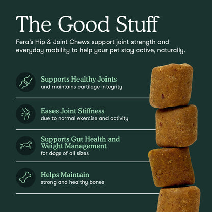 Fera Pets joint support chews for dogs with turmeric green lipped mussel and yucca root