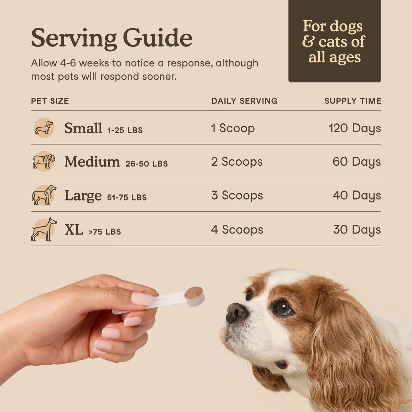 feeding guide for Fera Pets mushroom supplement for dogs based on weight