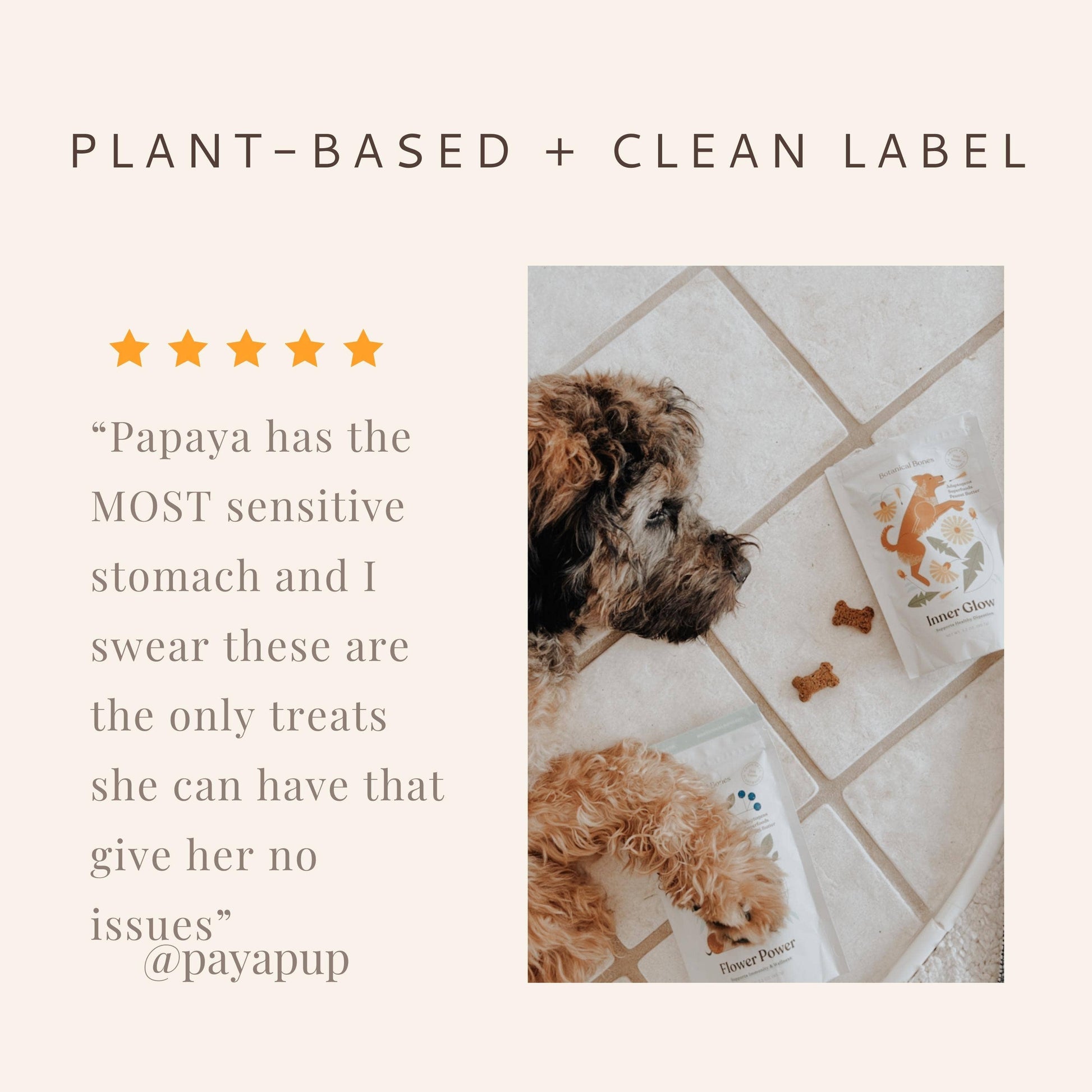 Graphic highlighting plant-based ingredients in Flower Power dog treats