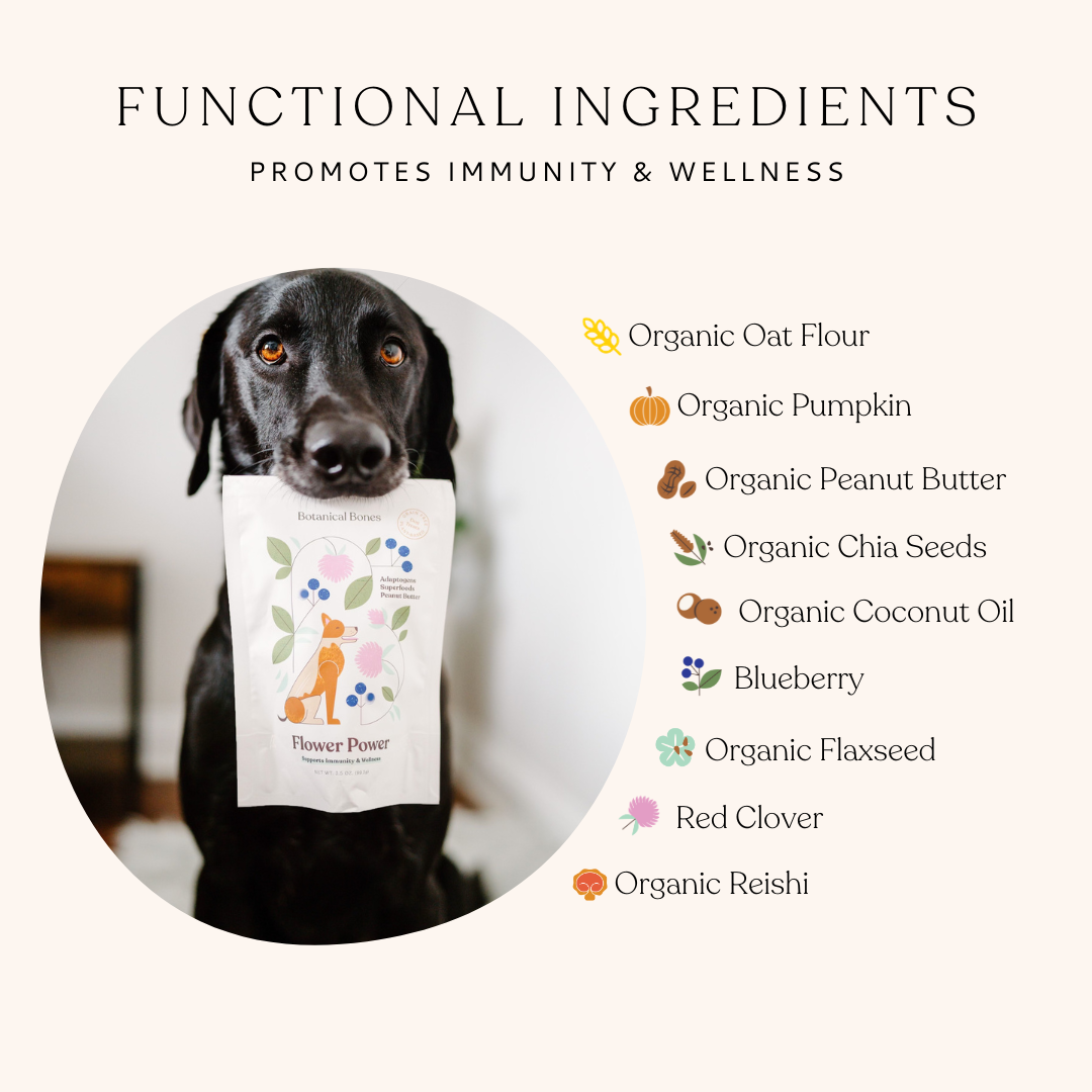 Functional ingredient graphic for Flower Power organic dog treats featuring superfoods and plant-based ingredients