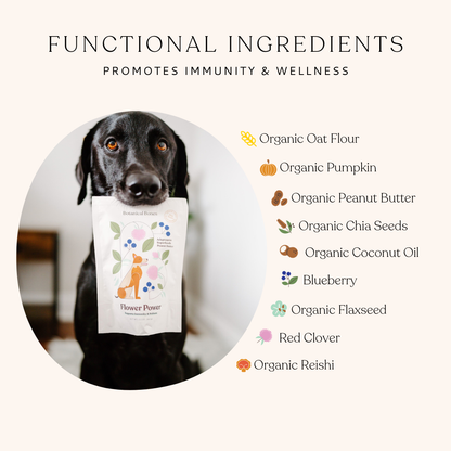 Functional ingredient graphic for Flower Power organic dog treats featuring superfoods and plant-based ingredients