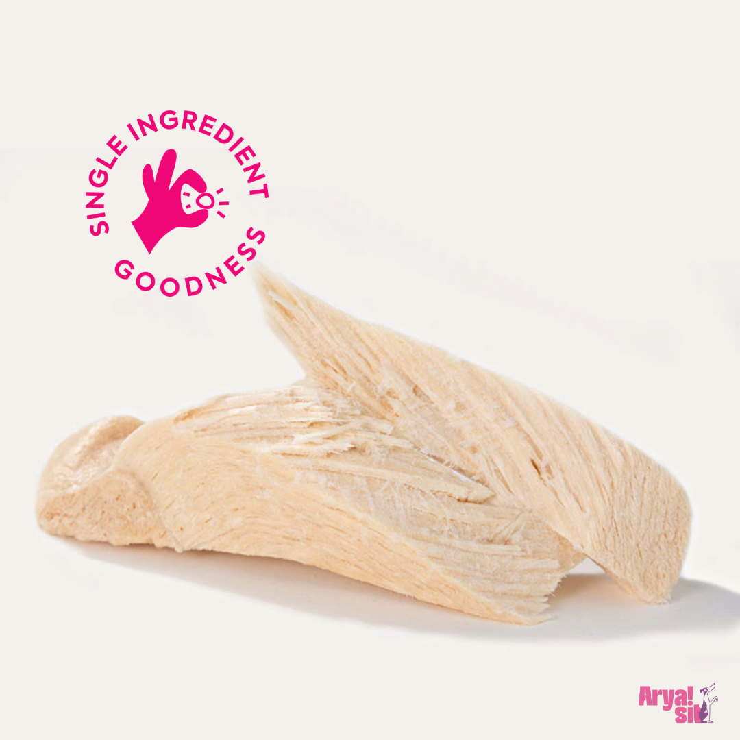 Single-ingredient freeze-dried chicken breast dog treat piece
