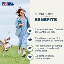 Benefits of Guts & Glory organ supplement for dogs showing nutrition and gut support