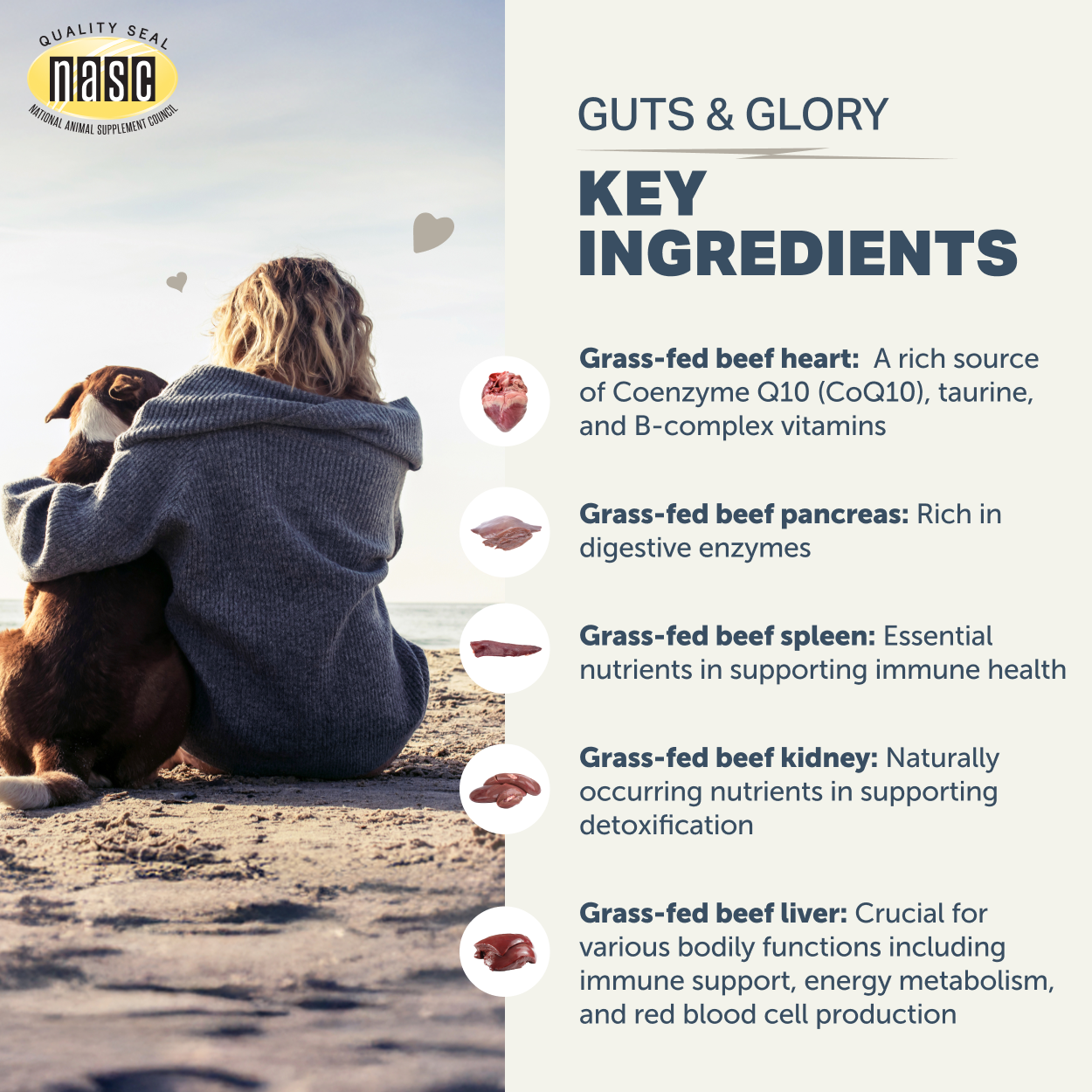 Guts & Glory Key Ingredients