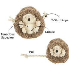 Hedgehog dog toy showing hidden rope and squeaker for engaging, interactive play