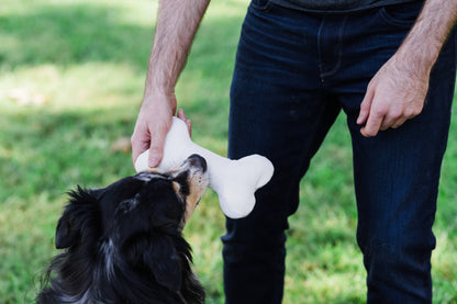 Dog playing outdoors with a natural hemp dog bone toy during supervised play