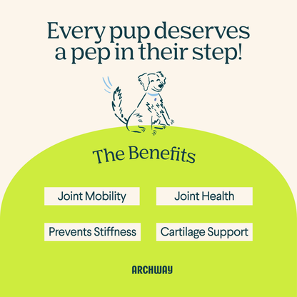Benefits of hip and joint dog treats including mobility, joint health, ligament support, and cartilage support