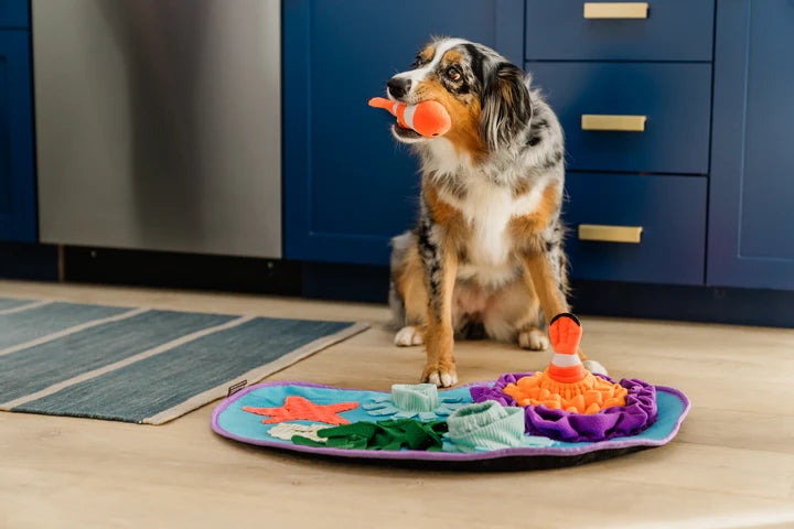 Dog standing on a coral themed snuffle mat while searching for treats during enrichment play.