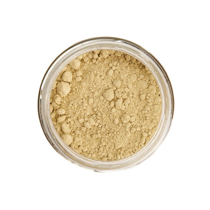 Kelp Powder for Dogs Close Up