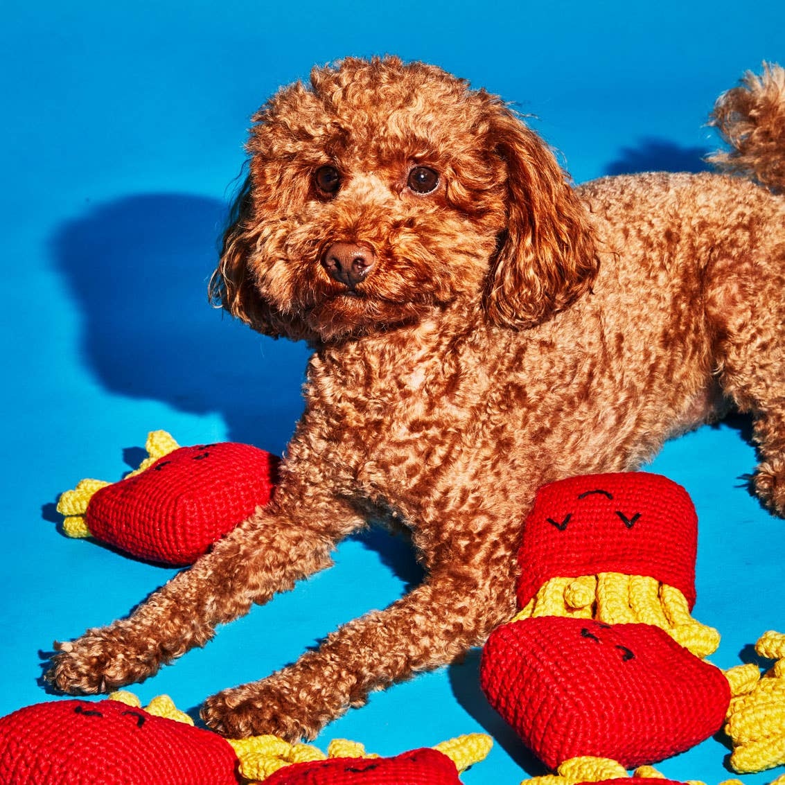 Dog enjoying lambswool french fries dog toys made from natural, eco-friendly materials