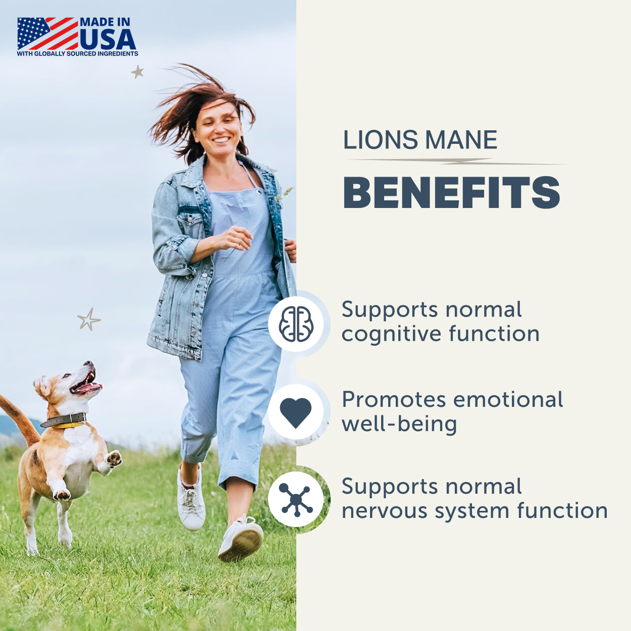 Benefits of lion’s mane supplement for dogs including cognitive and nervous system support