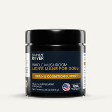 Lion’s Mane Mushroom Supplement for Dogs