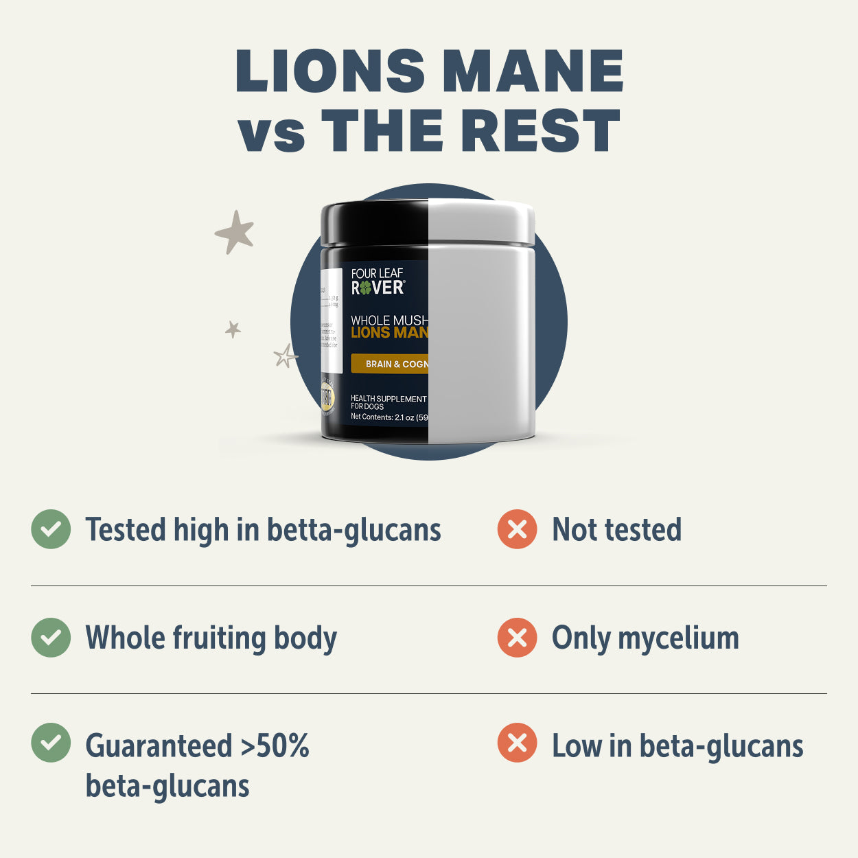 Lion’s Mane vs The Rest Comparison