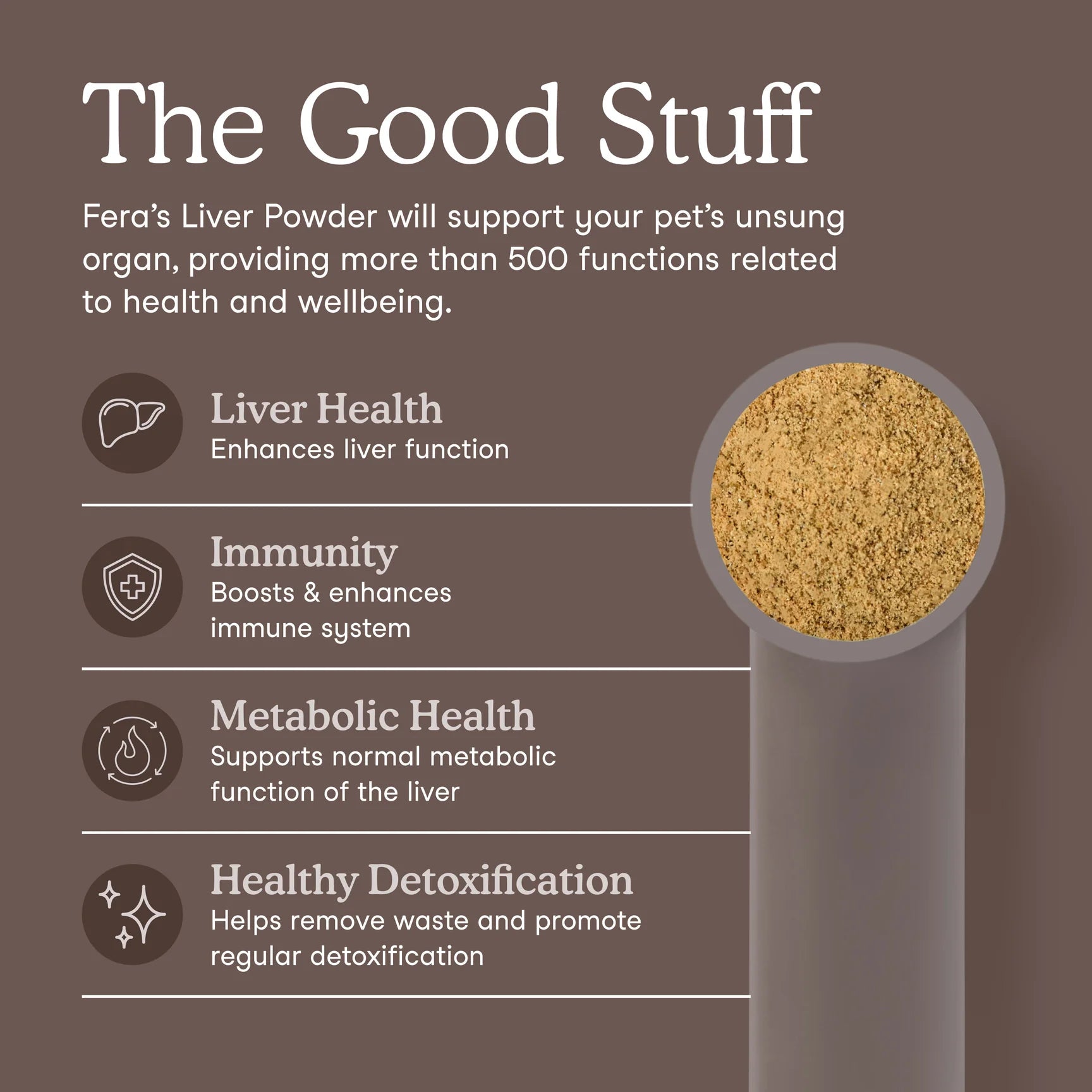 Liver Support Benefits for Dogs