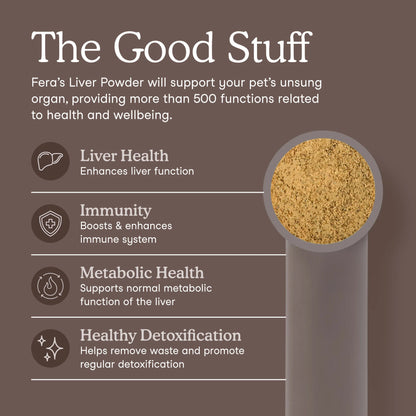 Liver Support Benefits for Dogs