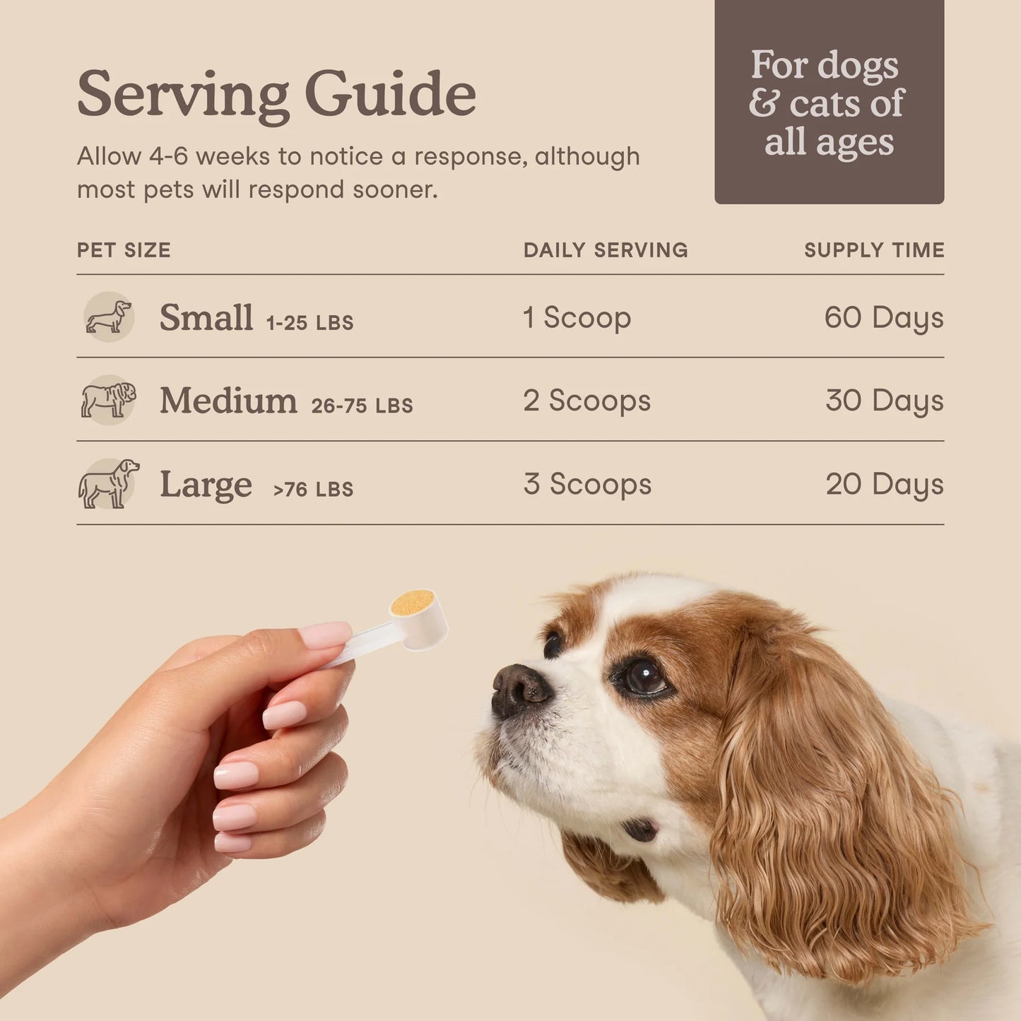 Feeding guide for liver support supplement for dogs based on weight
