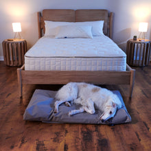 Organic Pet Bed with Washable Waterproof Cover