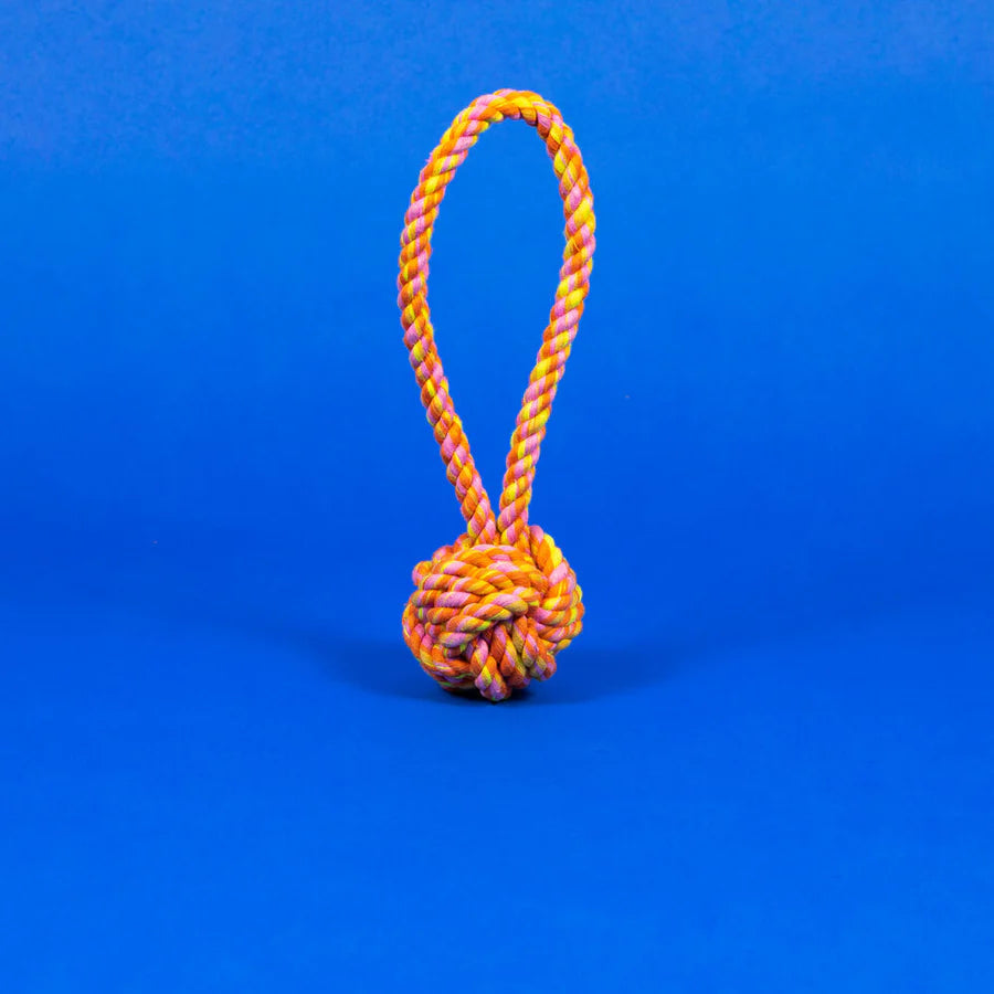 Natural cotton rope knot dog toy with loop, designed for chewing, tug play, and interactive enrichment.