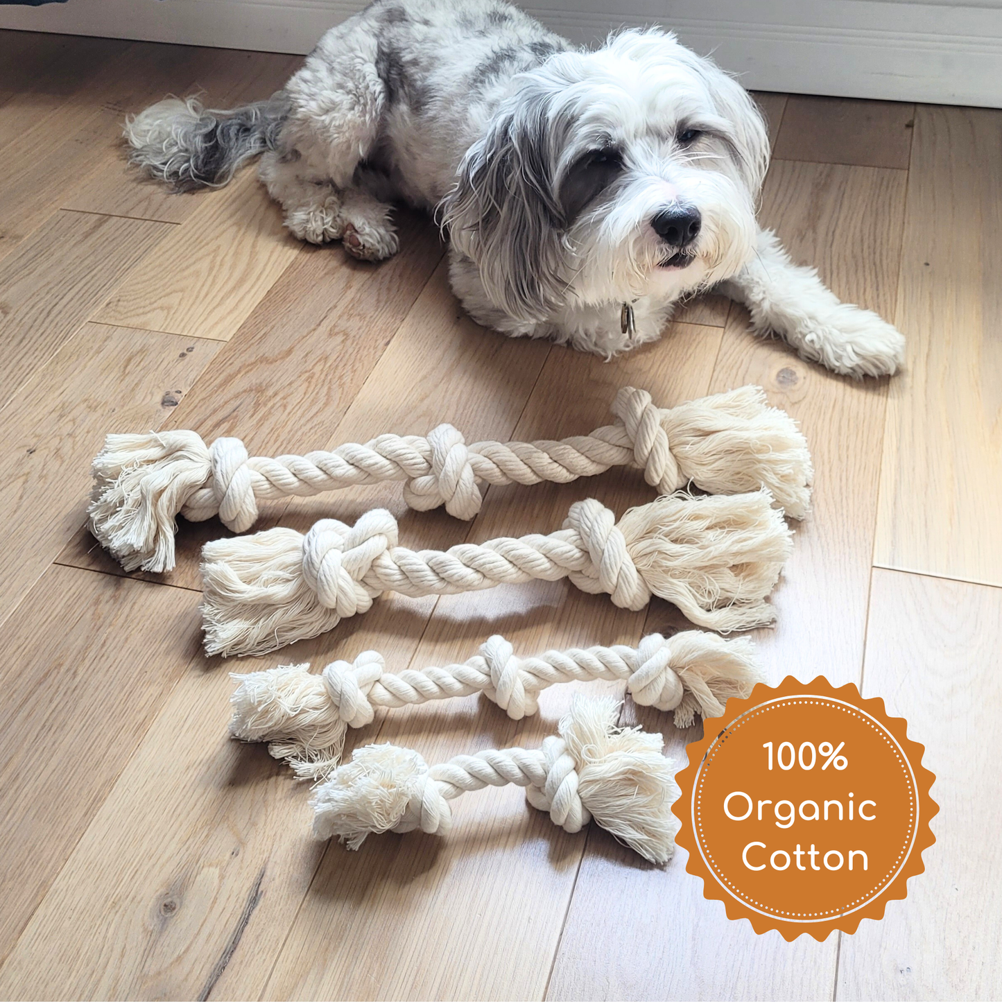 Dog lying with natural organic cotton rope toys designed for interactive play