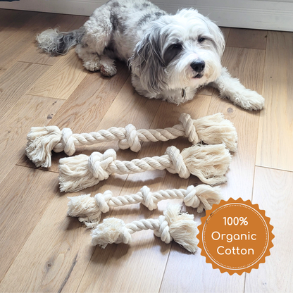 Dog lying with natural organic cotton rope toys designed for interactive play
