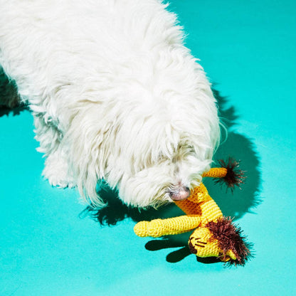 Close-up of organic cotton lion dog toy showing natural fiber texture. Dyed with all-natural colors and free from synthetic chemicals.