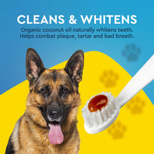 German Shepherd with USDA certified dog toothpaste