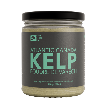 North Hound Life organic kelp for dogs in glass jar, mineral-rich superfood supplement