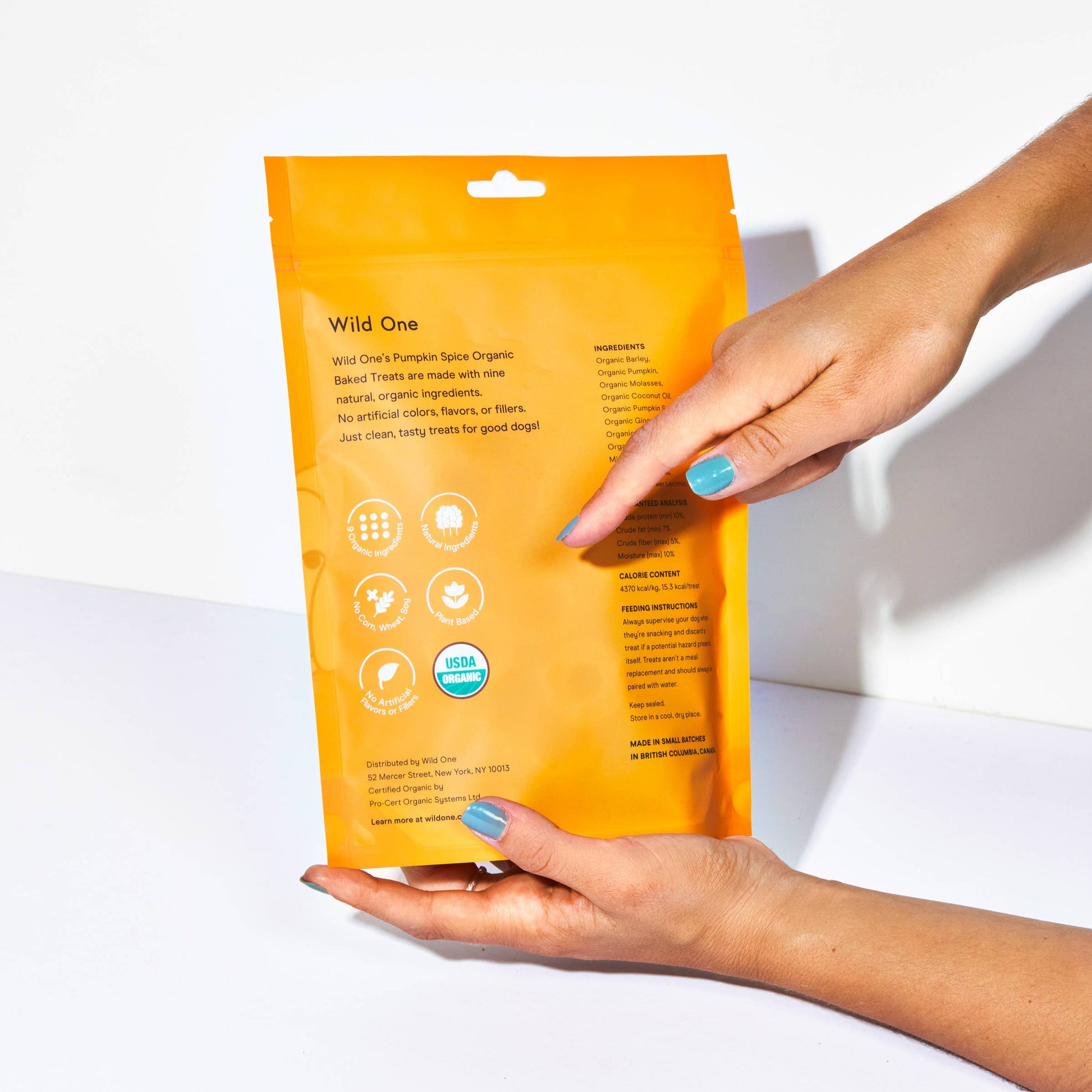 Hands holding Wild One organic pumpkin spice vegan dog treats, showcasing small batch production and clean, limited ingredient formulation.