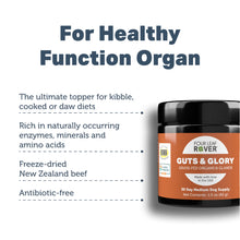 Grass-Fed Guts & Glory Dog Supplement