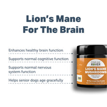 Lion's Mane Mushroom Dog Supplement