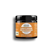 Lion's Mane Mushroom Dog Supplement