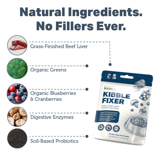 Kibble Fixer Dog Topper