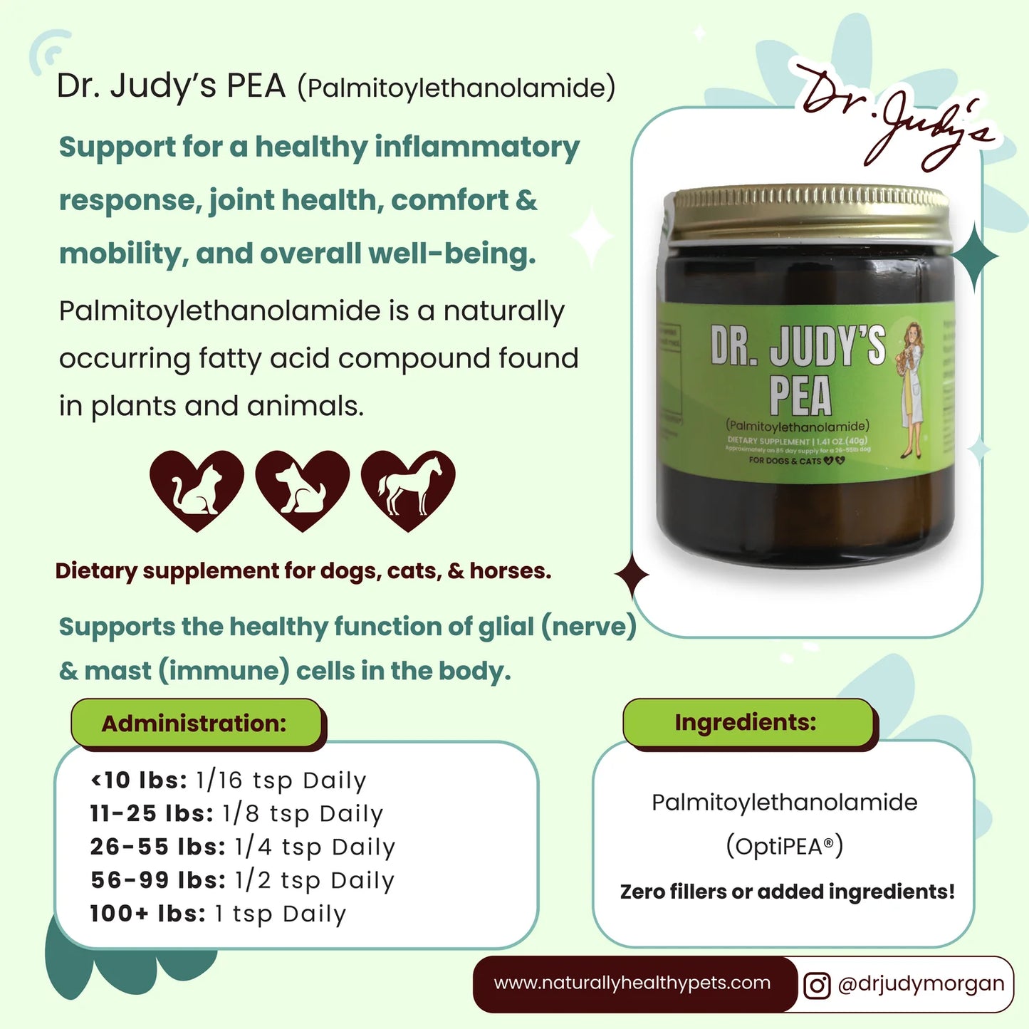 PEA supplement for dogs supporting nerve health comfort and inflammatory balance