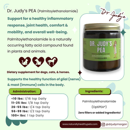 PEA supplement for dogs supporting nerve health comfort and inflammatory balance