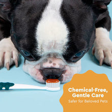 Dog using RADIUS organic dog toothpaste to help remove plaque and freshen breath naturally