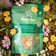Organic pumpkin and carrot dog treats with ginger, made with minimally processed plant-based ingredients